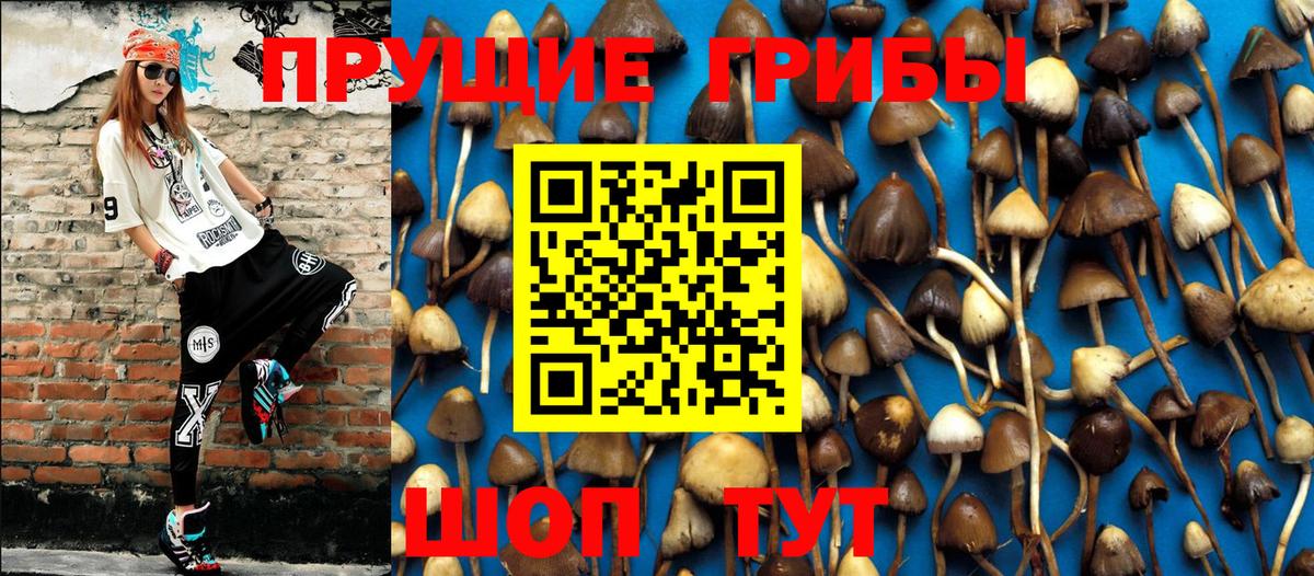 Галлюциногенные грибы Magic Shrooms  Вход с VPN  Нягань 
